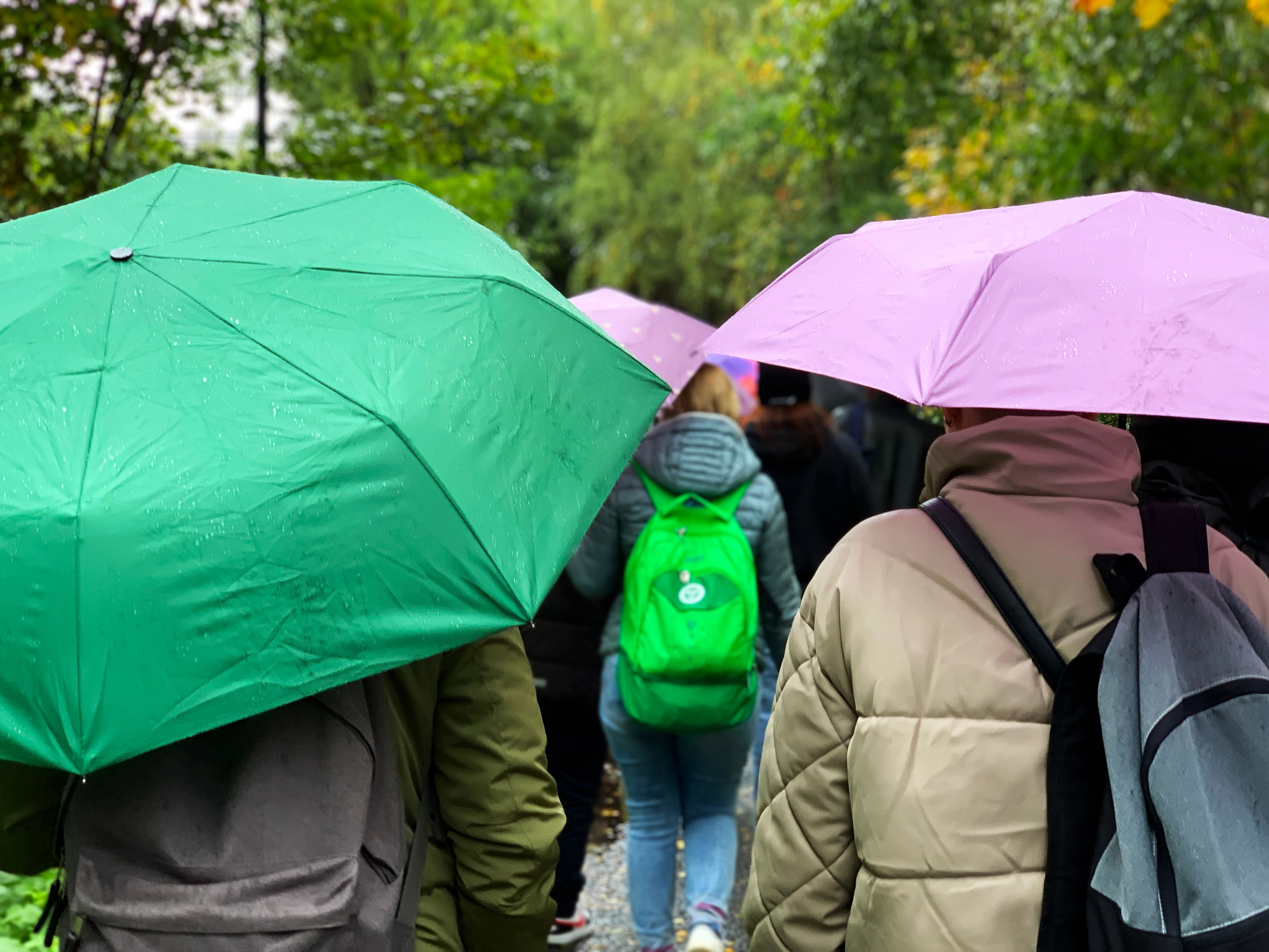 crowd-of-people-with-many-wet-colorful-umbrellas-u-2025-02-24-17-54-10-utc